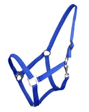 QHP ESSENTIALS HALFTER SLIDE BLAU