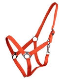 QHP Essentials Halfter Slide Orange