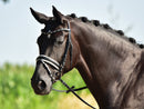 BUSSE BRIDLE COMFORT BLACK/STRAS