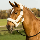 BUSSE HALFTERSCHUTZ CREME