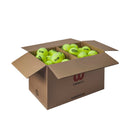 WILSON CLUB TRINITI (72X)